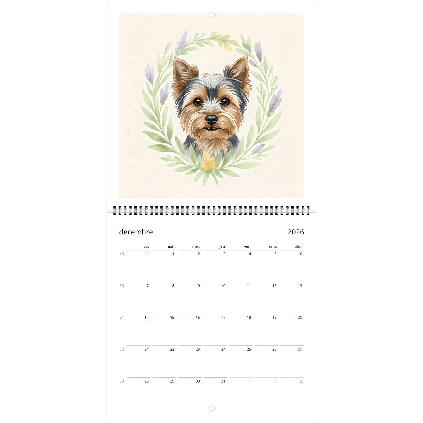 96da4789-3809-4049-88af-7df3d2e5ffdf