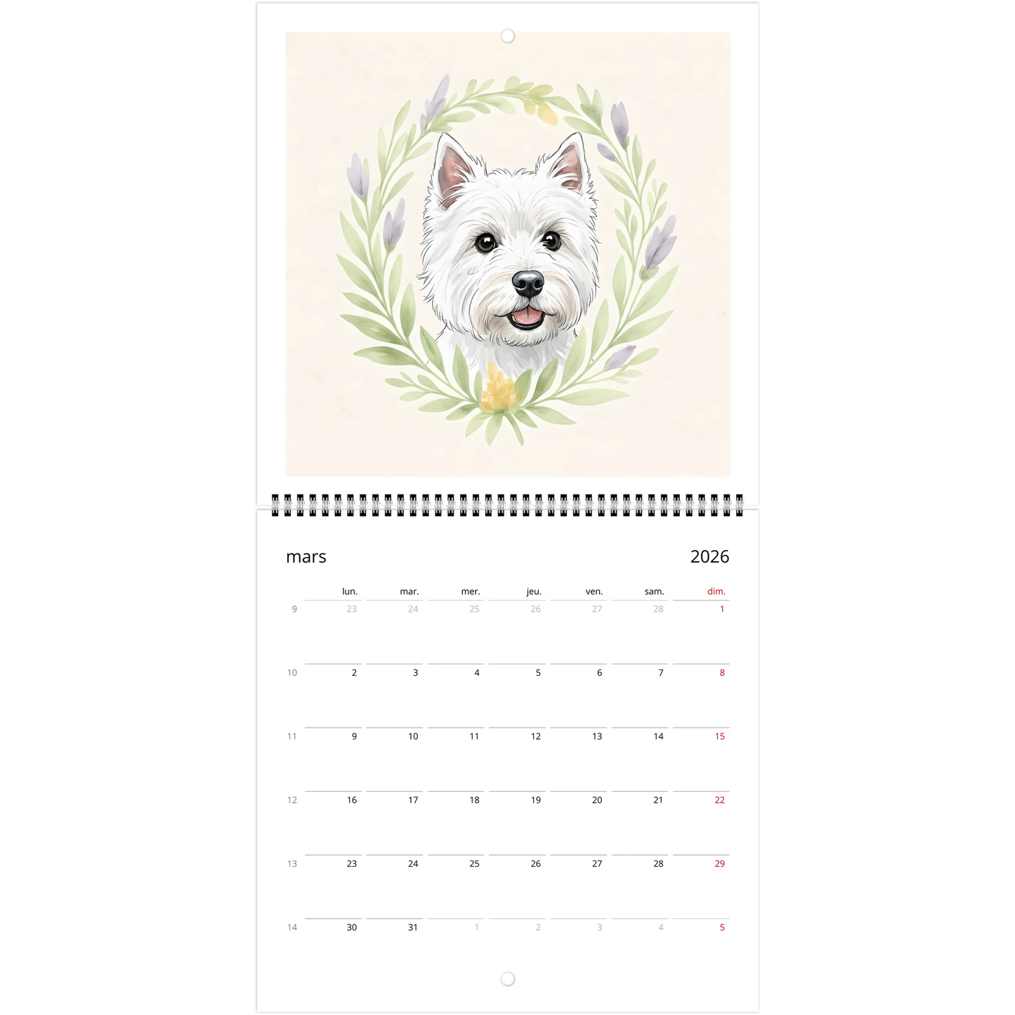 29b84c13-463d-43d1-aee6-1b43274fd551