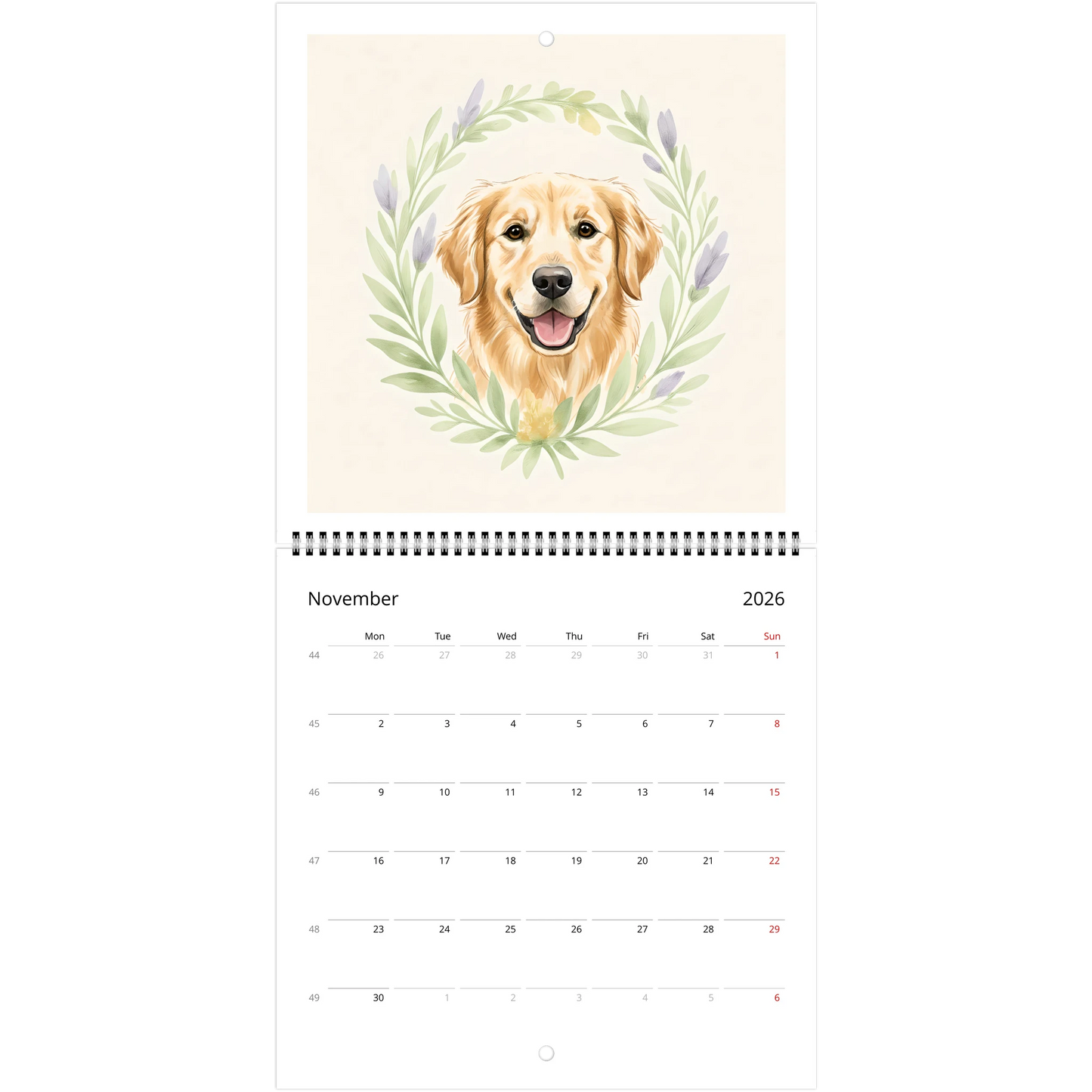 648bc936-af0a-429f-a1b0-c8c30a9c2262