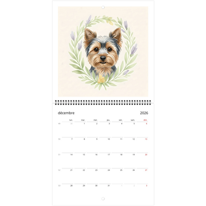 96da4789-3809-4049-88af-7df3d2e5ffdf