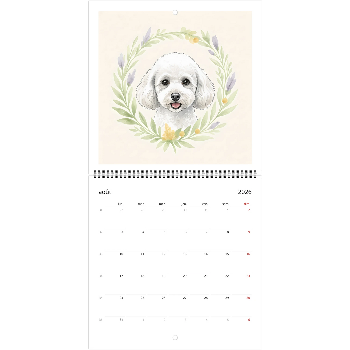 c28c9d4b-05b9-4049-805c-f171a41d3718